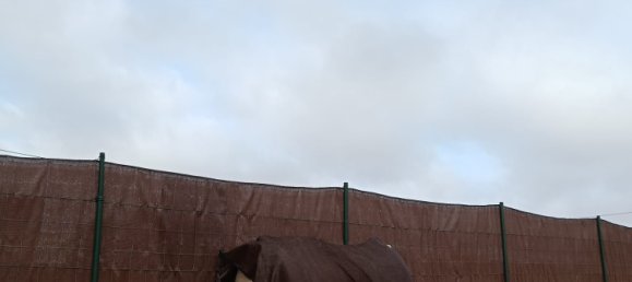 Terreno en Puerto Del Rosario, Spain 3075 m² No. 165380 55