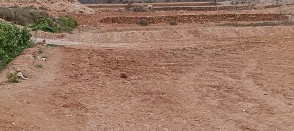 Terreno en Puerto Del Rosario, Spain 3075 m² No. 165380 41