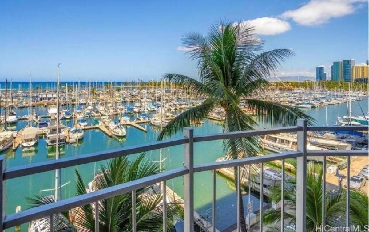 Studio in Honolulu, USA No. 387089