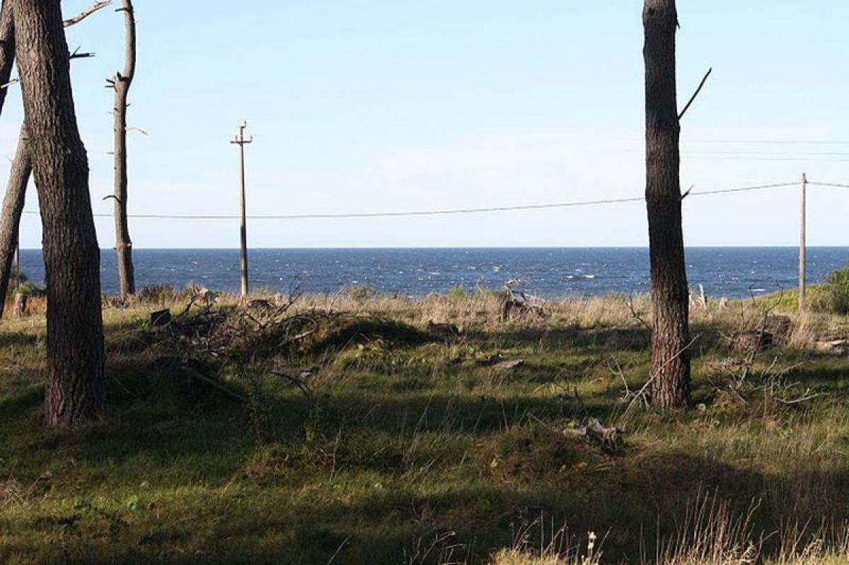  Land in Maldonado, Uruguay No. 15701