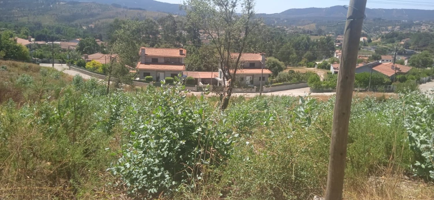 Terrain à Paredes, Portugal No. 261880