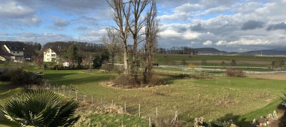 4 غرف نوم تاون هاوس في Lorrach, Germany رقم 40231 15