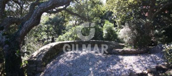 5 bedrooms House in Tarifa, Spain No. 147971 14