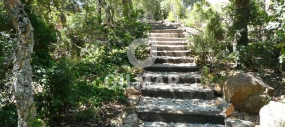 5 bedrooms House in Tarifa, Spain No. 147971 23