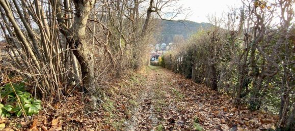 Terreno en Hinterbruhl, Austria 1200 m² No. 17899 7