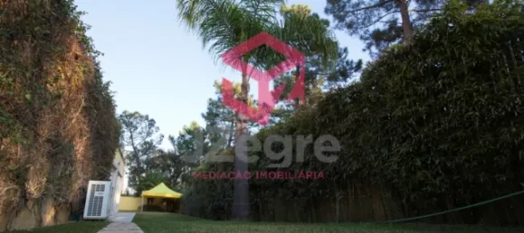 8 غرف نوم منزل في Sesimbra, Portugal رقم 16121 8