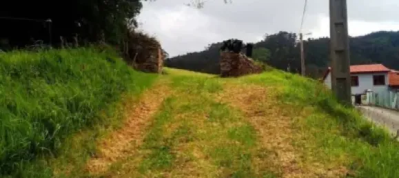 Grundstück in Asturias, Spain 2737m², Nr. 143732 11