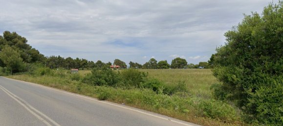 قطعة أرض في Chalkidiki, Greece 16688متر مربع رقم 99976 3