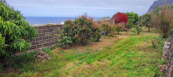 3700m² Land in Tenerife, Spain No. 269551 15