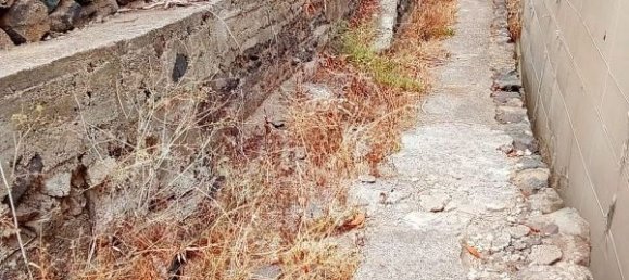 3700m² Land in Tenerife, Spain No. 269551 16