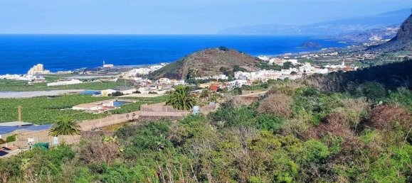 3700m² Land in Tenerife, Spain No. 269551 13