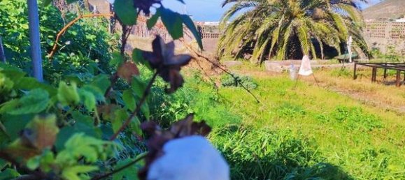 3700m² Land in Tenerife, Spain No. 269551 6