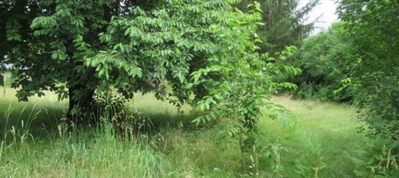 Дом с 4 комнатами в Oder-Spree, Германия № 101425 14