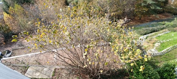 4 غرف نوم فيلا في Bee, Italy رقم 50770 5