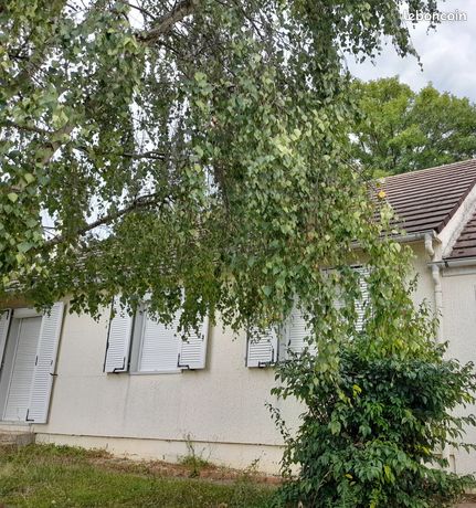 4 bedrooms House in La Milesse, France No. 313121