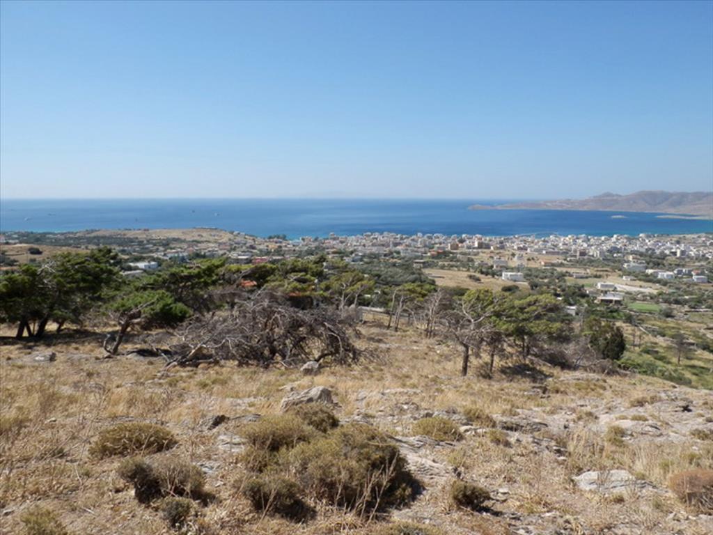 Отель, гостиница 42000м² в Каристос, Греция № 5609