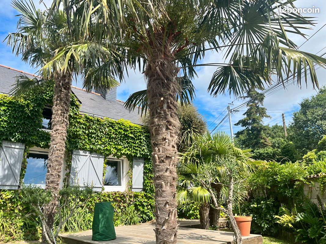 2 غرف نوم منزل في Loire-Atlantique, France رقم 288020