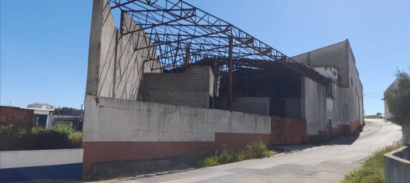 Lagerhaus in Alcanena, Portugal 2025m², Nr. 264332 2