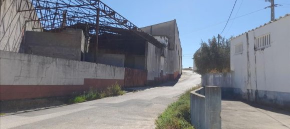 Lagerhaus in Alcanena, Portugal 2025m², Nr. 264332 9