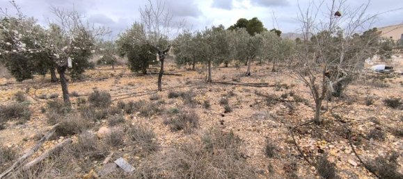 Дом с 2 спальнями в Ла Романа, Испания № 160350 13