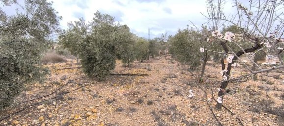 Дом с 2 спальнями в Ла Романа, Испания № 160350 14