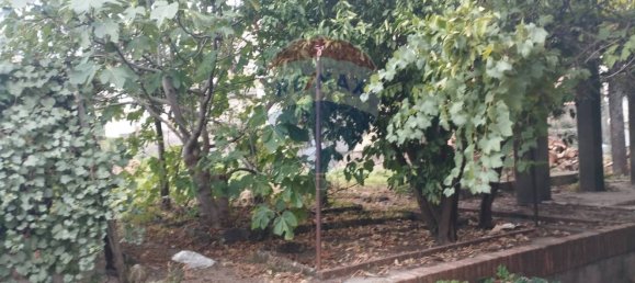 3 rooms Building in Randazzo, Italy No. 103164 13