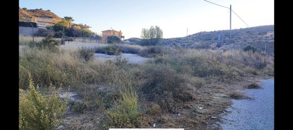  Land in Aspe, Spain No. 160975 4