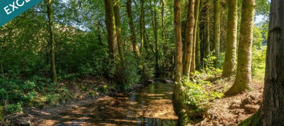 8 bedrooms Castles in Fresse-sur-Moselle, France No. 361827 14