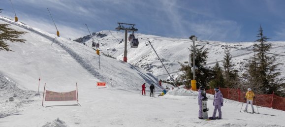 1 bedroom Apartment in Sierra Nevada, Spain No. 175202 29