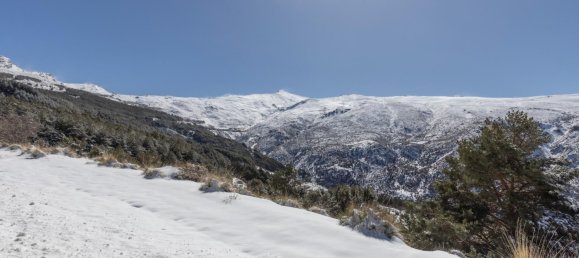 1 bedroom Apartment in Sierra Nevada, Spain No. 175202 30