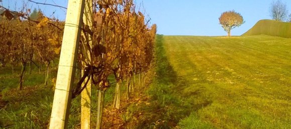  قطعة أرض في Straden, Austria رقم 138231 8