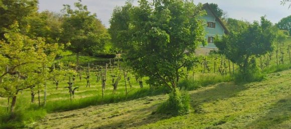  قطعة أرض في Straden, Austria رقم 138231 11