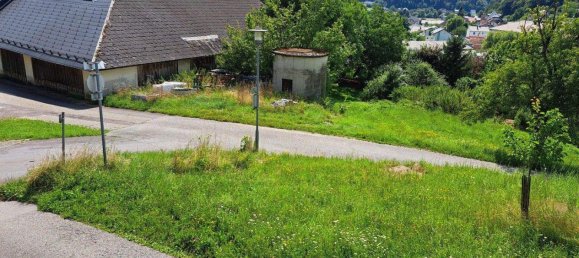 Земельный участок в Вальдинг, Австрия № 215163 2