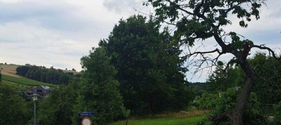 Земельный участок в Вальдинг, Австрия № 215163 3