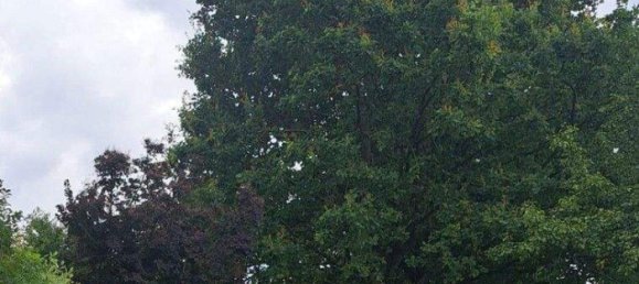 Земельный участок в Вальдинг, Австрия № 215163 4