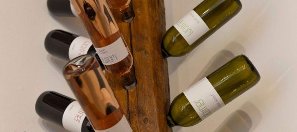 4غرفة منزل في Kirchberg am Wagram, Austria رقم 235134 45