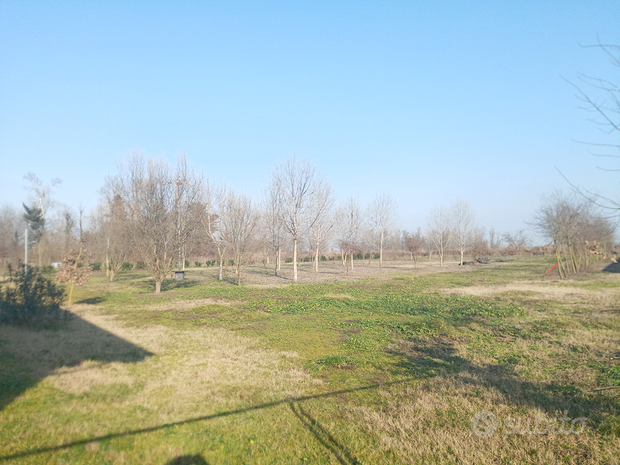 13000m² Land in Olevano di Lomellina, Italy No. 257307
