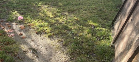 Квартира с 6 спальнями в Вьерзон, Франция № 68923 8