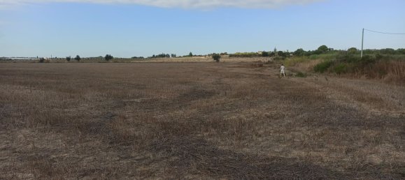 Terreno en Noto, Italy 40000 m² No. 62250 4