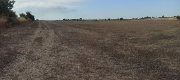 Terreno en Noto, Italy 40000 m² No. 62250 3