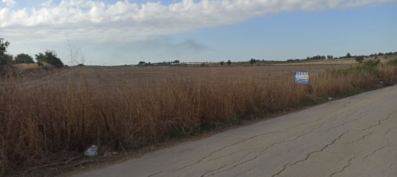 Terreno en Noto, Italy 40000 m² No. 62250 2