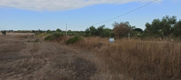 Terreno en Noto, Italy 40000 m² No. 62250 5