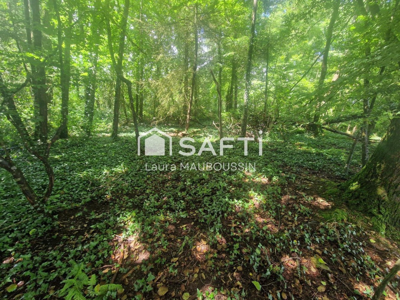 Terreno en Loire-Atlantique, France No. 350896