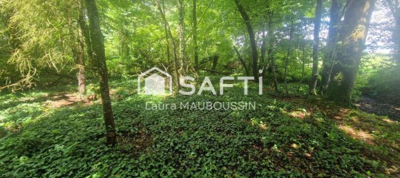 Terreno en Loire-Atlantique, France No. 350896 2