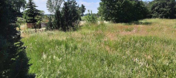 Ферма с 2 спальнями в Эльба Эльстер, Германия № 333852 9