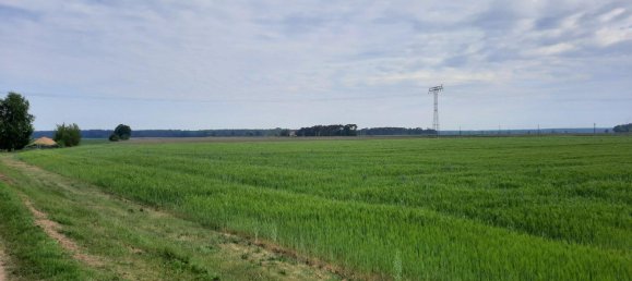 Ферма с 2 спальнями в Эльба Эльстер, Германия № 333852 10