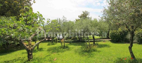 2 chambres Villa à Marliana, Italy No. 270829 24