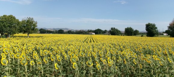 Земельный участок 34658м² в Монтемарчано, Италия № 164591 2