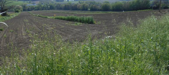 Земельный участок 34658м² в Монтемарчано, Италия № 164591 5