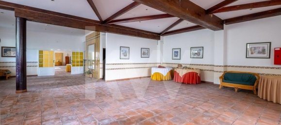 Gewerbliche Immobilie in Minde, Portugal 3033m², Nr. 251371 27